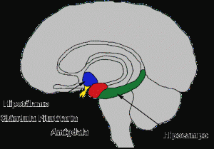 Concept in Definition ABC